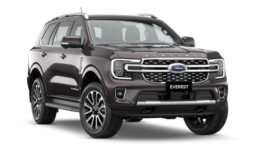 Everest Platinum